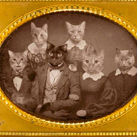 Hello hello! - Picture 5 of 9